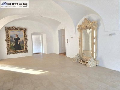 Schlossresidenz - eine prachtvolle Stil-Altbauwohnung mit Terrasse und Garten im Schloss - Exklusives Wohnen mit herrschaftlichem Flair
