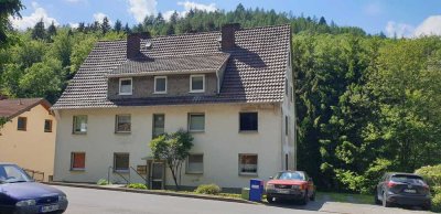 2022 sanierte: attraktive 3-Zimmer-Wohnung in Schutzbach