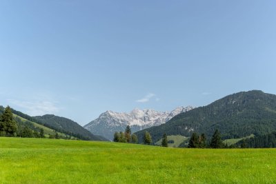 Neubauwohnung in Panoramalage ( 04195 )