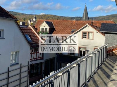 ++ANSPRUCHSVOLLE & SEHR ELEGANTE STADTWOHNUNG MIT PARKBLICK++