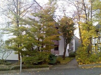 Renovierte helle Wohnung mit zwei Zimmern und Balkon in Hagen Eppenhausen (Hochschulviertel)