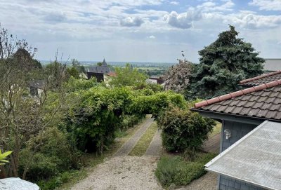 Vollständig renoviertes Einfamilienhaus in traumhafter Lage in Zwingenberg für 2 Jahre zu vermieten