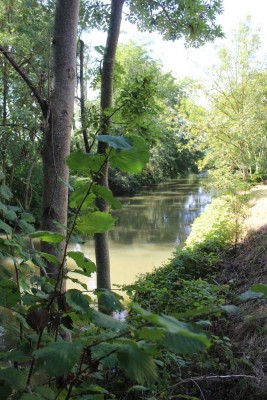Wohnhaus günstig abzugeben