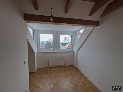 Generalsanierte, moderne 2-Zimmer-Galeriewohnung inkl. Parkplatz - in Wildon! Die Sanierungsarbeiten sind noch nicht abgeschlossen!