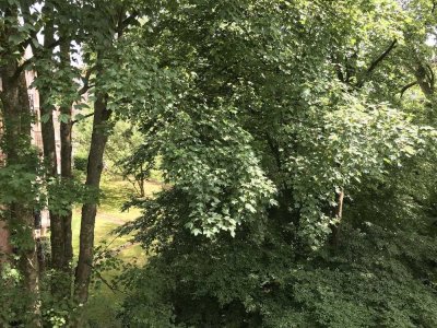Reserviert! Schöne Wohnung in zentraler, grüner Lage von Eppendorf