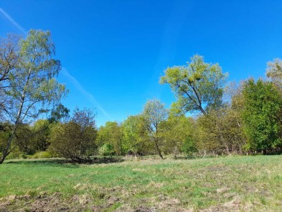 Schönes Haus und mit 3978 m² Grundstück