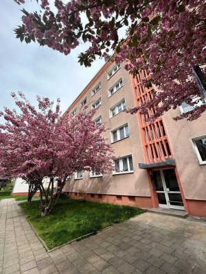 Renovierte und helle 1-Zimmer-Wohnung mit Duschbad