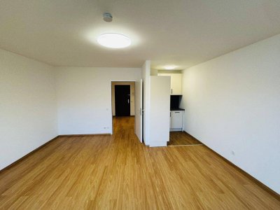 Charmante 1-Zimmer-Wohnung mit Wohnküche in 1100 Wien