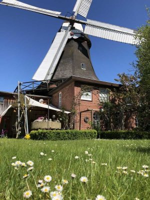Historische Windmühle, zwei bezugsfertige gepflegte Wohnungen, 3700m² sehr gepflegter Garten