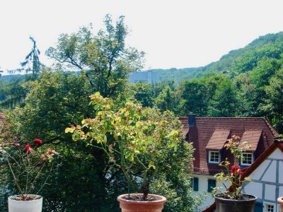 Weitblick  4 Raum Dachgeschoßwohnung Südloggia in historischem Ambiente Eppstein Vockenhausen