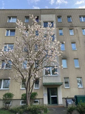 2-Raum-Wohnung mit Süd-Balkon und Stellplatz in Greifswald