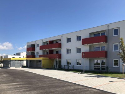 JUNGES WOHNEN: Moderne Gartenwohnung