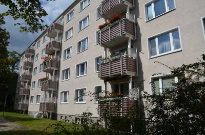 Renovierte 2-Raum-Wohung an der Grenze