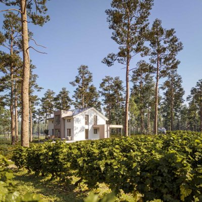 Frei geplantes Traumhaus auf tollem Grundstück
