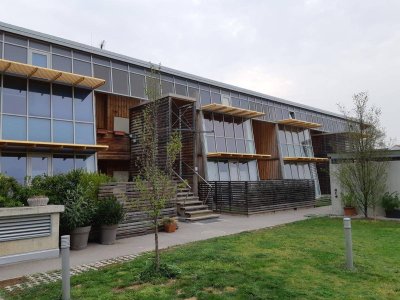 HOHENRUPPERSDORF I/1, geförderte Mietwohnung mit Kaufoption, OG TOP16, 1000/00010730/00001116