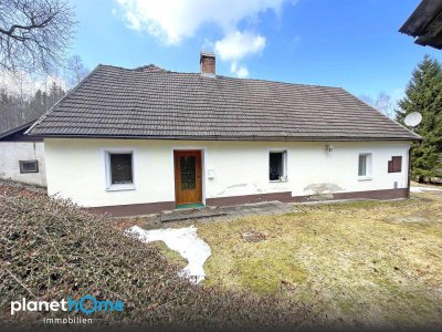 Haus in Alleinlage mit Wald im Naturgebiet