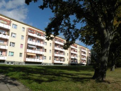 Für die junge Familie ! Erstbezug nach Wohnungsmodernisierung