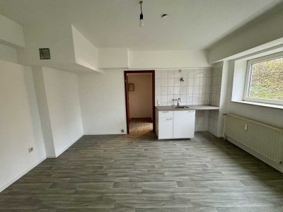 1ZKB Apartment / Wohnung / neue Einbauküche / Souterrain