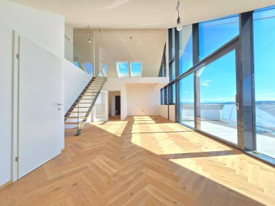 Penthouse mit 5.5 Zimmern und Balkon am Waldrand