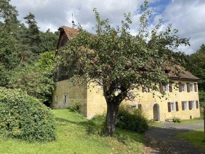 Romantische Mühle m. Scheune u. Nebengeb. in idyll. Lage bei Lauf zu verkaufen! Einzeldenkmal