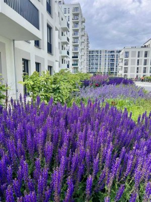 1 Zimmer mit Balkon