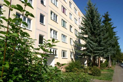 Schicke 2-Raum-Wohnung im Erdgeschoss mit Dusche und Einbauküche