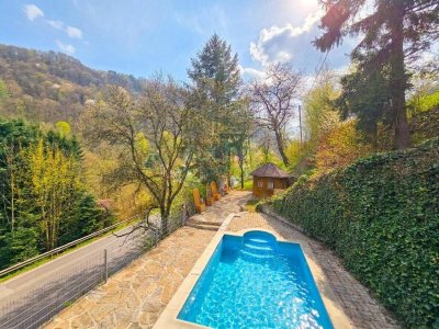 Großes Mehrfamilienhaus mit ca. 9.000 m² Grund – 2 Einheiten, Garage, Pool, Sauna und viel Potenzial