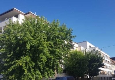 1ZKB-APPARTMENT- PROVISIONSFREI- KEIN MAKLER