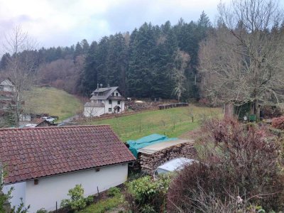 SANIERTE 3 WOHNUNG IM GRÜNEN!