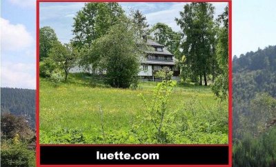 Sehr aufwendig, stillgerecht renov. Landhaus, Nähe St. Blasien, Schluchsee, in ruhiger Lage, Nähe...