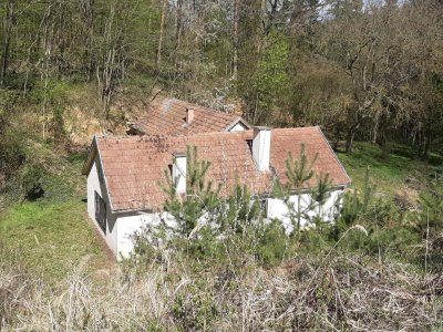 IDYLLISCHE ALLEINLAGE IM NATURSCHUTZGEBIET
