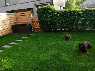 Sonnige 2 - Zimmer Mietwohnung mit Garten im ruhigen Sistrans!!!