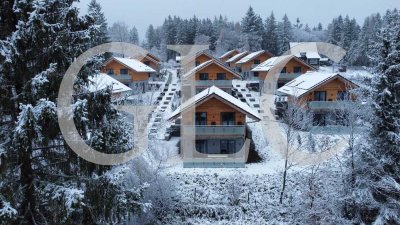 First-Class Natur-Effizienzhäuser mit einer Größe von ca. 128 m²  im schönen Harz zu verkaufen