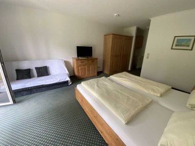 APPARTEMENT - VIECHTACH - SPORTHOTEL ZUM PFAHL