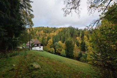 Wohnen im Einklang mit der Natur: Schönes Schwarzwaldhaus mit großem Grundstück in Lauterbach
