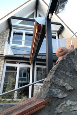 Wohnperle im Finther Ortskern - Rarität!