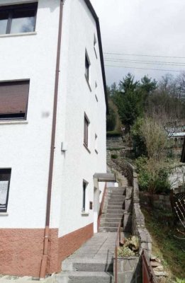 Mehrzimmer - Wohnung in Mosbach