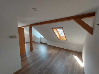 Großzügige renovierte 1-Raum-Wohnung