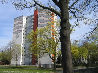 2 ZKDL Vogelstang