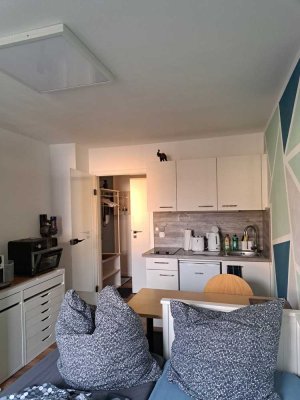 Komplett renovierte 1-Zimmer Wohnung in der Nähe vom Bahnhof und Rotmaincenter