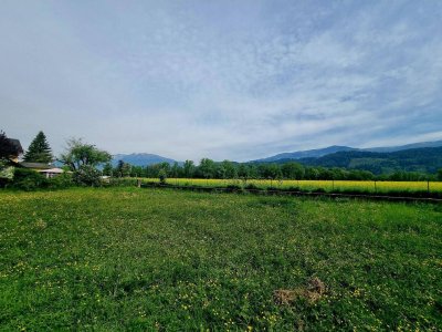 Großes Bauland Grundstück mit Altbestand