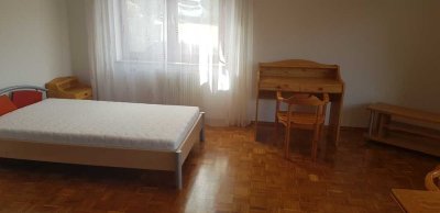Vollständig renovierte, möblierte 1-Zimmer-Wohnung mit EBK in Nagold