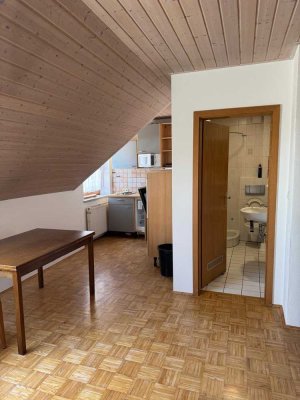 möbliertes 1-Zimmer Apartment/Wohnung