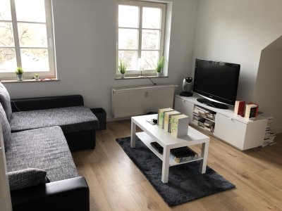 2 Kaltmieten bezahlt! Günstige*Neu-renovierte, möbilierte 1-Raumwohnung mit Einbauküche!!!