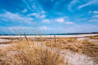 Einzigartiges Baugebiet in Ostseenähe
