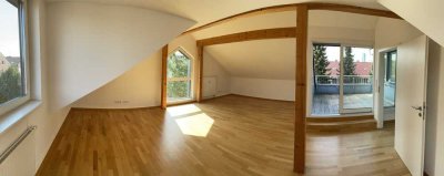 Lichtdurchflutete Studiowohnung in Münster-Zentrum