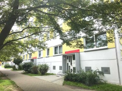 Frisch renovierte 3 Zimmer Wohnung