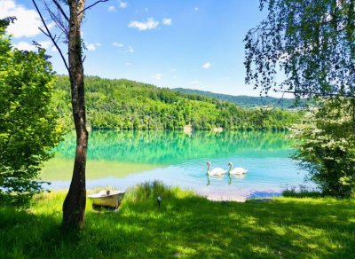 Premium-Mehrgenerationenhaus mit 3 Wohnbereichen, Top-Zustand, Windhager-Pelletheizung, 2 Garagen, XXL-Carport, Arrondierungsoption &amp; Stausee fußläufig
