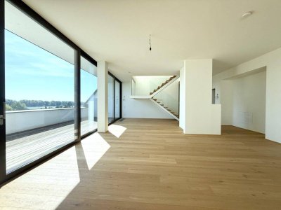 ERSTBEZUG MIT BADESTEG AM WASSER: Ruhelage mit Fernblick über die Donau I großzügige Terrassen & geräumige Wohnküche