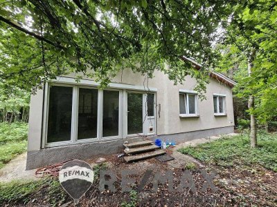 "Osteraktion! SANIERUNGSPROJEKT MIT VIEL POTENZIAL | ca. 1.085 m² Grundstücksfläche | Ruhelage in Mitterndorf an der Fischa"